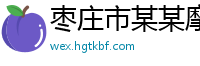 枣庄市某某摩托车销售服务中心